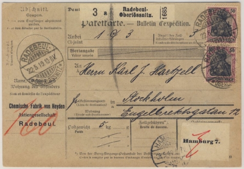 DR - 2x50+2x30 Pfg. Germania Paketkarte n. SCHWEDEN Radebeul-Oberlössnitz 1919