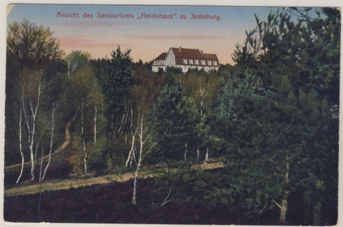 Niedersachsen - Jesteburg, Sanatorium Heidehaus, Farb-AK n. Hamburg 1920