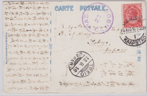 Südafrika, Jap. Schiffs-AK (Kashima Maru) Zensur 1916 - Karte etwas bügig