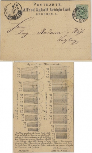 DR - 3 Pfg. Werbedrucksache n. ÖSTERREICH Karte Dresden-Altst. 4 - Salzburg 1881