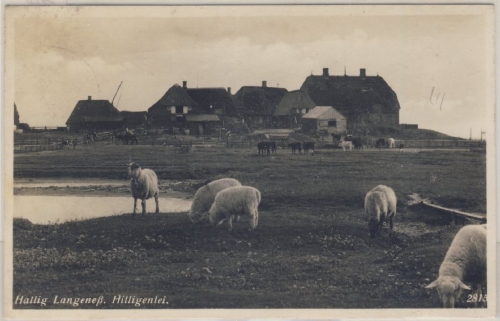 Schleswig-Holstein - Hallig Langeneß, Hilligenlei sw-Fotokarte gelaufen 1953