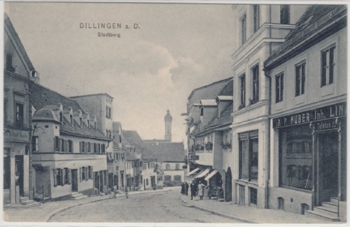 Bayern - Dillingen, Stadtberg, sw-AK ungelaufen ca. 1910