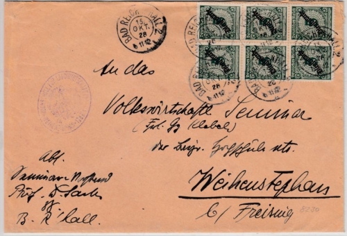 DR - 6x5 Pfg. Korbdeckel/Dienst, Brief Bad Reichenhall - Weihenstephan 1928