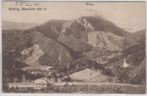 Österreich - Gösing, Bahnhof, sw-AK, gelaufen(Postablage) 1915, Niederösterreich