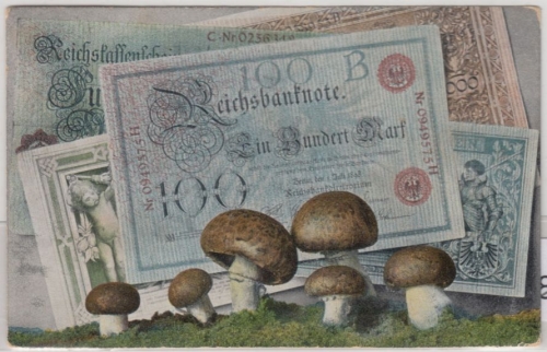 DR - Reichsbanknoten u. Pilze, farb. Ansichtskarte, gelaufen Münster 1906