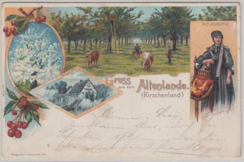Niedersachsen - Altes Land (Kirschenland), farb. Gruss aus AK, gelaufen 1898 v.