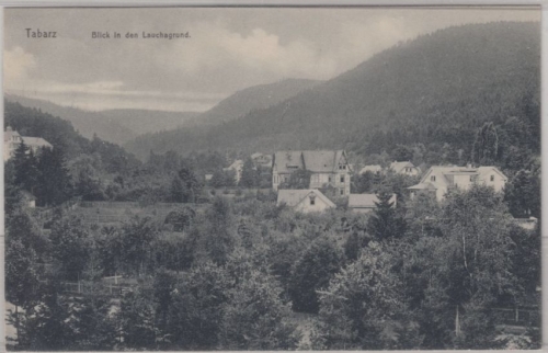 Thüringen - Tabarz, Blich i.d. Lauchagrund, sw-AK gelaufen Großtabartz 1915