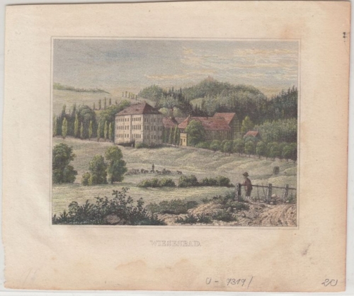 Sachsen - Wiesenbad, col. Stich ca. 10x7,5cm (Bildmaß) alt