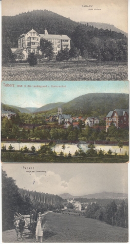 Thüringen - Tabarz, 2x sw-AK, 1x farb. AK alle gelaufen 1906