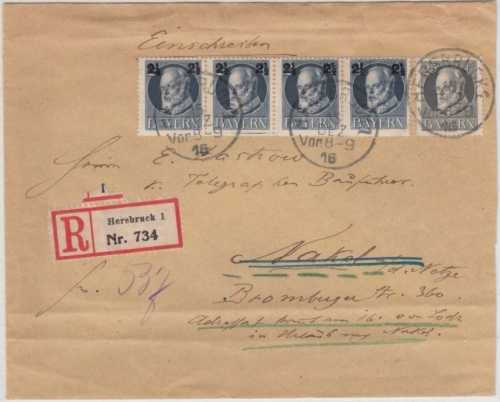 Bayern - 25 Pfg. Ludwig u.a., Einschreibebrief Hersbruck - Nakel 1916