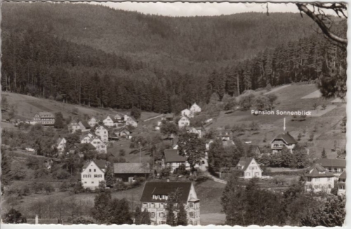Baden-Württemberg - Enzklösterle Ortsansicht sw-Fotokarte gelaufen 1964