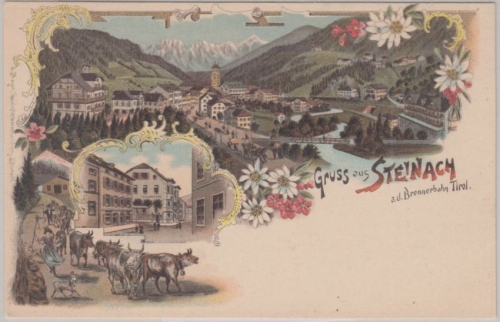 Österreich - Steinach a.d. Brennerbahn Tirol Mehrbild-Farblitho ungelaufen