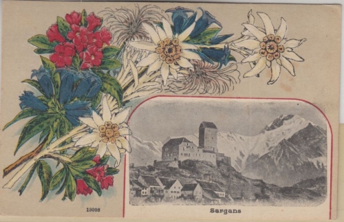 Schweiz - Sargans sw-Ansicht m. farb. Blumenprägung ca. 1910 ungelaufen