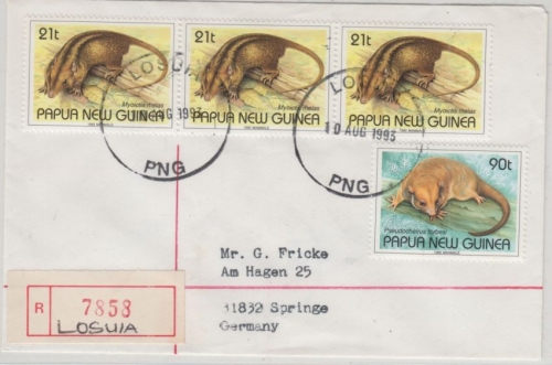 Papua Neuguinea - Losuia 1993 Einschreibebrief 3x21 + 90 t Säugetiere