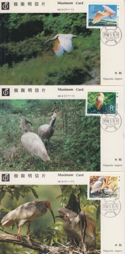 China - Nipponibis 1994 Satz 3 Maximumkarten