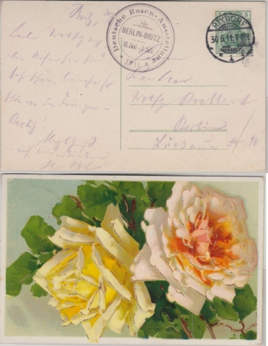 DR - Deutsche Rosen Ausstellung Berlin-Britz 1911 priv. SST Rosen-Motiv-AK
