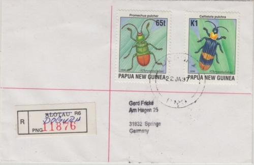 Papua New Guinea - Doguru 22.1.97 Einschreibebrief Käfer