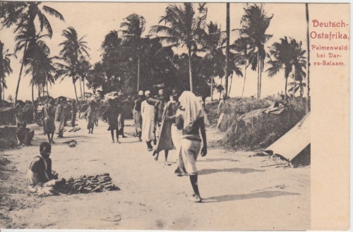DOA - Palmenwald b. Da-es-Salam sw-Ansichtskarte ungelaufen ca. 1900/05