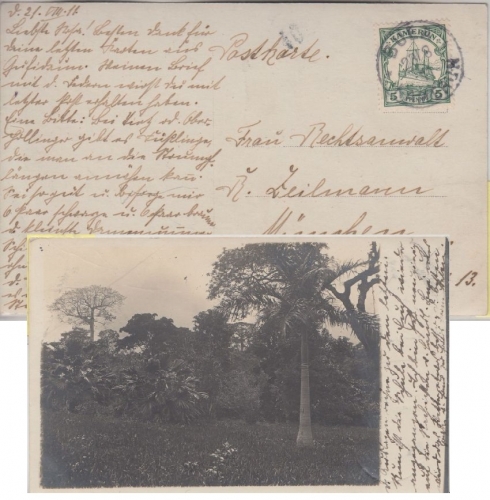 Kamerun - 5 Pfg. Schiffszeichnung priv. Fotokarte Buea - München 1911