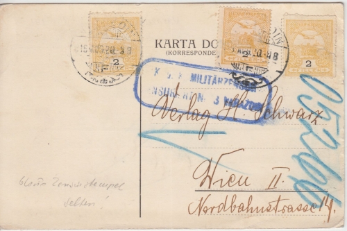 Ungarn/Kroatien - 3x2 F. Turul Karte n. ÖSTERREICH Varadzin - Wien 1916 Zensur