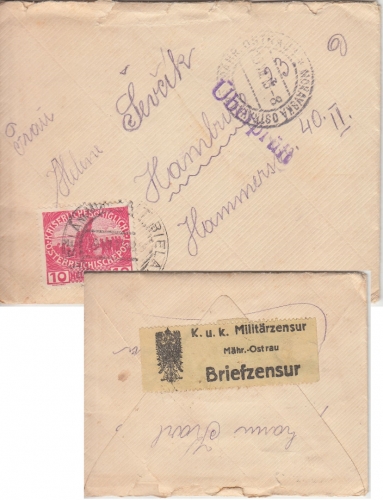 Österreich - 10 H. Witwen-/Waisenhilfe Zensurbrief Alt-Biela - Hamburg 1915