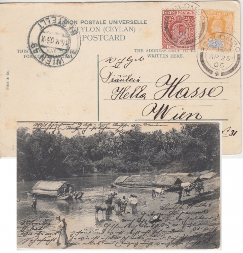 Ceylon - 2+4 C. Eduard VII. sw-AK n. ÖSTERREICH Colombo - Wien 1905