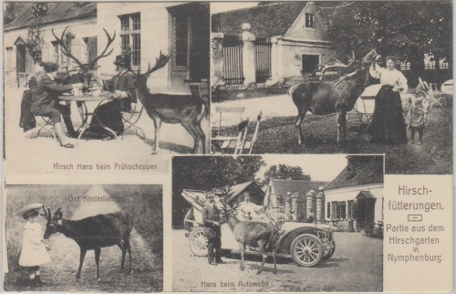 Bayern - München Nymphenburg Hirschgarten sw-Mehrbild-AK ungelaufen ca. 1910