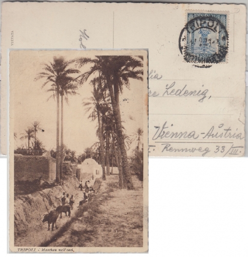 Ital. Libyen - 25 C. Freimarke Drucksache (AK) n ÖSTERREICH Tripolis - Wien 1928