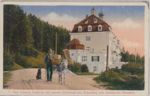 Bayern - Schaufling Postbote Schmid m. Dienstesel ungelaufen farb. AK ca. 1910