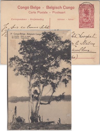 Belgisch Congo - 10 C. Bildganzsache (71/Copal-Boom) Elisabethville 1915