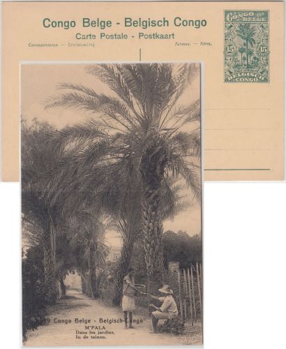 Belgisch Congo - 15 C. Bildganzsache (89/M'Pala In de tuinen) ungebraucht 1922