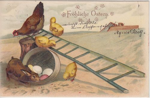 Glückwunsch - Ostern Hase Küken Henne Eier farb. Prägekarte Amberg 1905