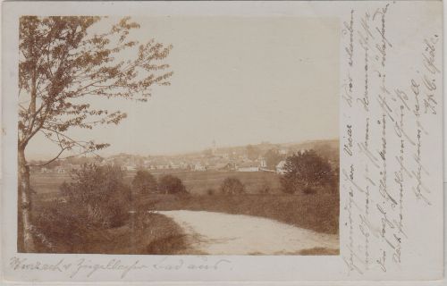 Württemberg - Wurzach "v. Ziegelbach aus" priv. Foto-AK gelaufen 1902