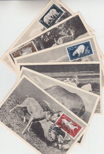 DDR - Tierpark Berlin Satz a. 6 Maximumkarten ESST Berlin-Friedrichsfelde 1956