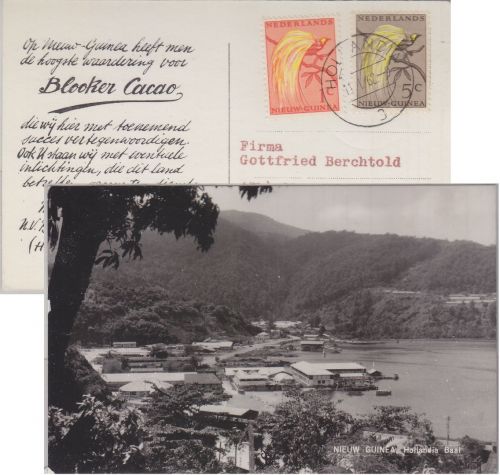 Niederl. Neuguinea - 1+5 C. Paradiesvogel Werbedrucksache Hollandia 1962