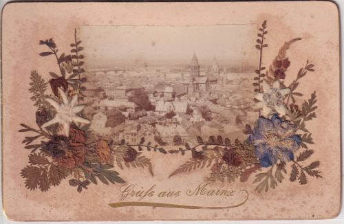 Rheinl.-Pfalz - Gruss aus Mainz Ortsansicht ca. 1890 a. Karton m. Trockenblumen