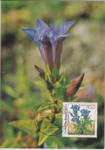 BRD - 80 Pfg. Naturschutz/Enzian Maximumkarte ESST Berlin 1991