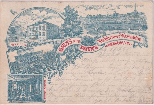 Hessen - Hochheim a/Main Payers Weinstube Mehrbild-Gruss aus AK gelaufen 1905
