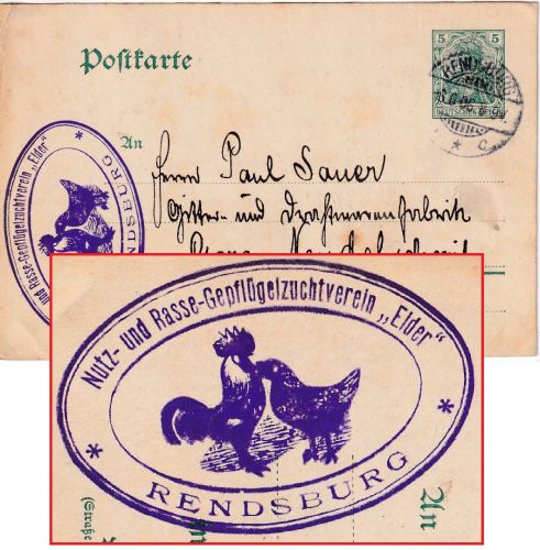 DR - Nutz- und Rasse-Geflügelzuchtverein "Eider" Rendsburg Abs.stpl. Karte 1906