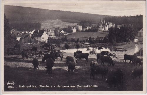 Niedersachsen - Hahnenklee Ortsansicht sw-Foto-AK gelaufen ca. 1930
