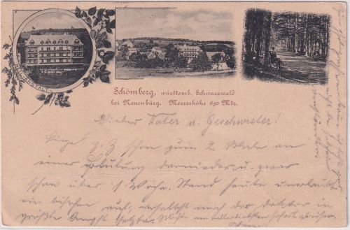 Württemberg - Schömberg ü. Neuenbürg Heilanstalt sw-Mehrbild-AK gelaufen 1898