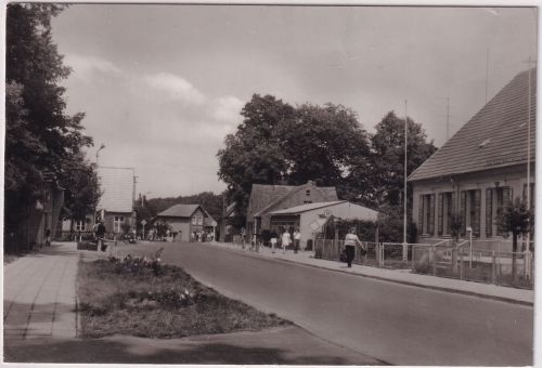 Brandenburg - Zechlinerhütte (Kr. Neuruppin) Rheinsberger Str. sw-Foto-AK 1980