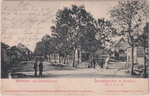 Sachsen-Anhalt - Benneckenstein Wildbach- u. Bahnhofstraße sw-AK 1902
