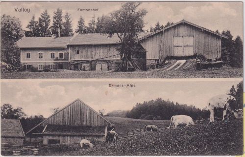 Bayern - Valley Ekmanshof Ekamns Alpe sw-Mehrbild-AK ungelaufen ca. 1910