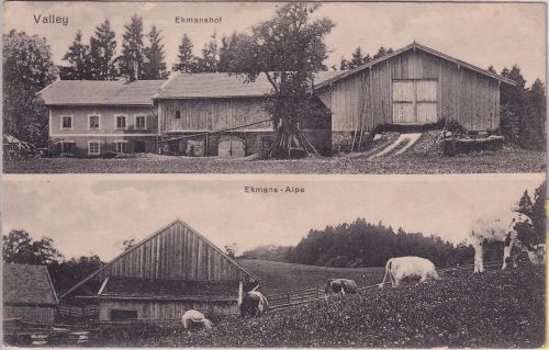 Bayern - Valley Ekmanshof Ekamns Alpe sw-Mehrbild-AK gelaufen 1924