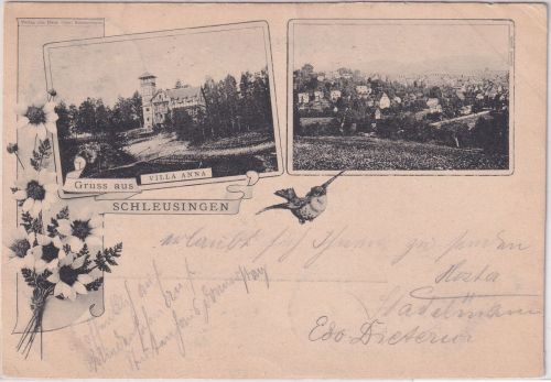 Thüringen - Schleusingen Villa Anna u.a. sw-Mehrbild-AK gelaufen 1897