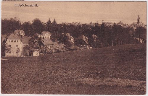 Sachsen - Groß-Schweidnitz (Löbau) Ortsansicht sw-AK gelaufen 1926