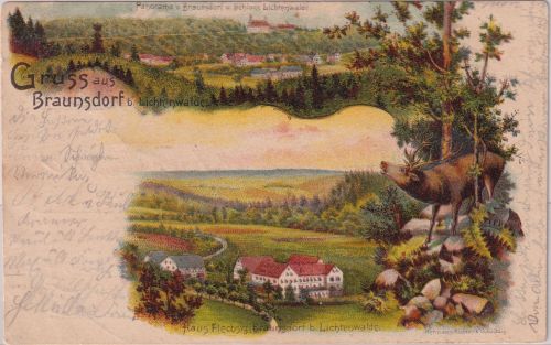 Sachsen - Braunsdorf b. Lichtenwalde haus Flechsig etc. farb-Mehrbild-AK 1903