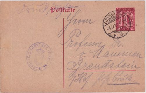 DR-Infla - 10 Pfg. Dienst/21 Ganzsache/Drucksache Eibenstock 3.12.20