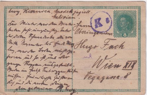 Ukraine/Polen - 8 H. österr. Ganzsache Kienica - Wien 14.5.1919 - Zensur